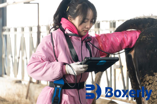 What Is a Typical Day as a Veterinarian(图3)