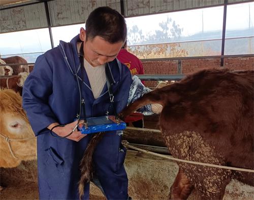 What’s the Average Appointment Load for Vets(图3)