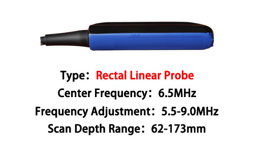 Precision Imaging: The Power of Linear Probe Vet Ultrasound(图2)