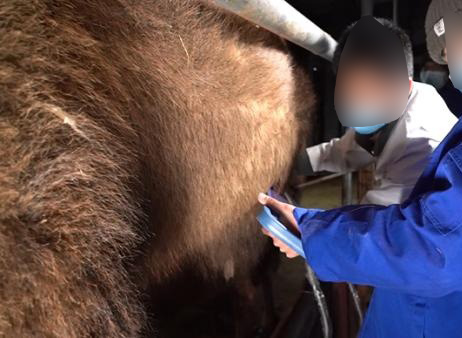 Why Are There So Few Vets with Ultrasound?