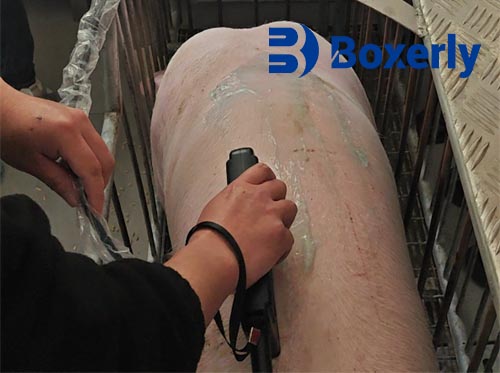 What Types of Animals Can Be Examined Using a Veterinary Ultrasound Scanner?