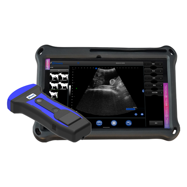 BXL-S201 portable wireless veterinary ultrasound instrument