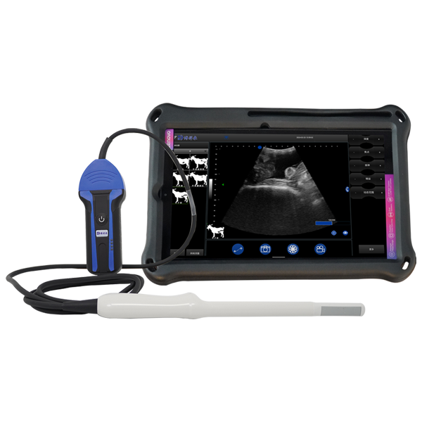 BXL-S203 Portable wireless veterinary ultrasound equipment