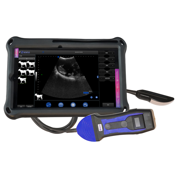 BXL-S204 portable wireless veterinary ultrasound machine|Universal Model