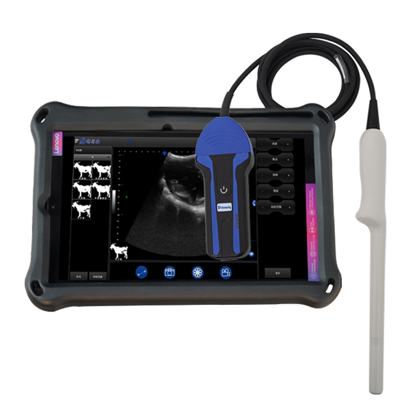 BXL-S103 Wireless Ultrasound System For Sheep lPX7
