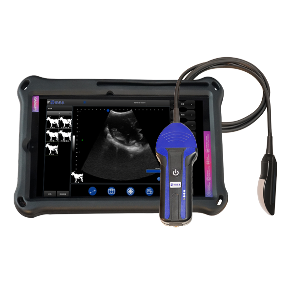 BXL-S104 Portable wireless Veterinary ultrasound device