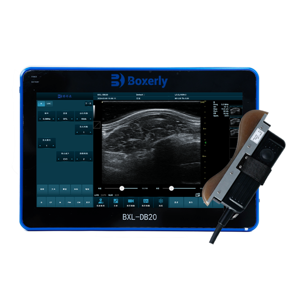 BXL-DB20 veterinary back fat eye muscle measuring instrument