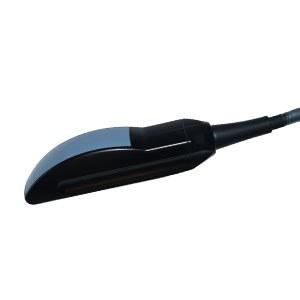 Rectal Convex Probe