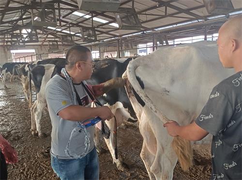 Animal Ultrasonography: Application Challenges and Future Prospects in Veterinary Practice(图2)