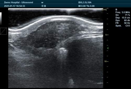 Ultrasound Pregnancy Tools Supporting Precision Farming in Mixed‑Species Operations(图5)