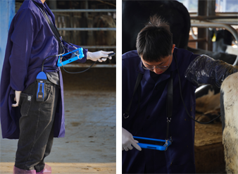 Mobile Ultrasound Veterinary Benefits and Real-World Use in Animal Care