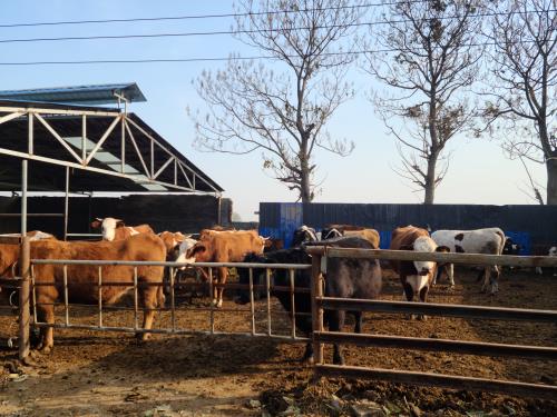 Essential Equipment Every Livestock Farmer Needs