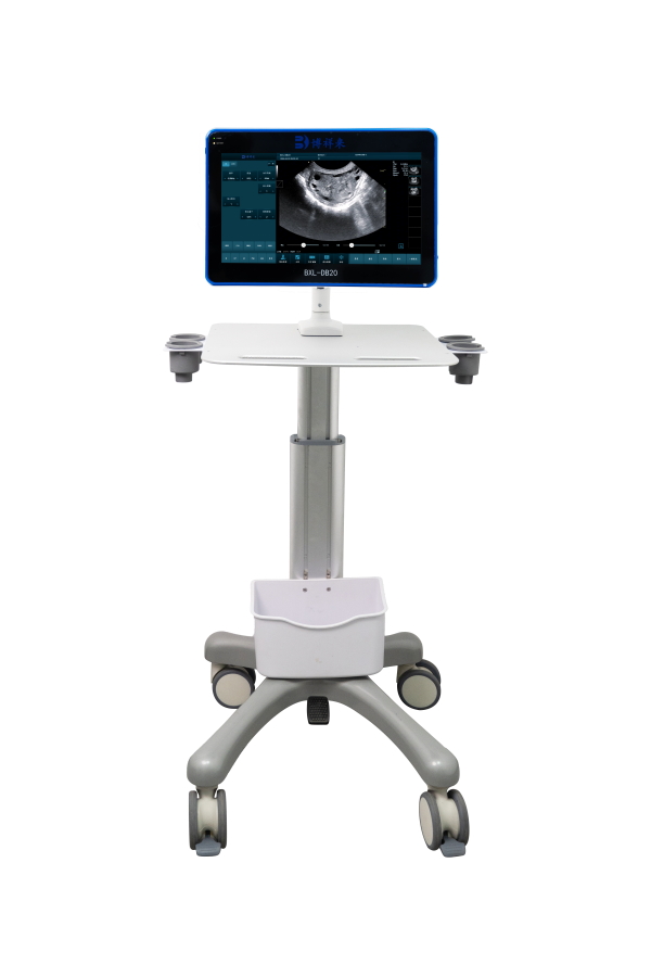 Vet Ultrasound Systems: from cart‑based to compact portable(图2)