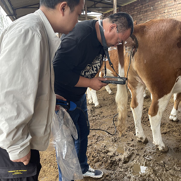 How to Take Care of Veterinary Equipment?(图3)